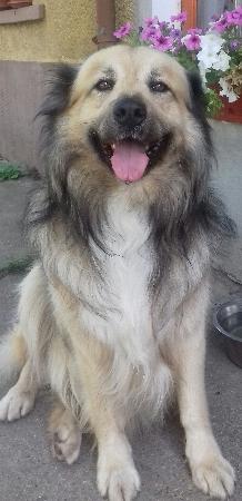 Képre kattintva nagyítható
